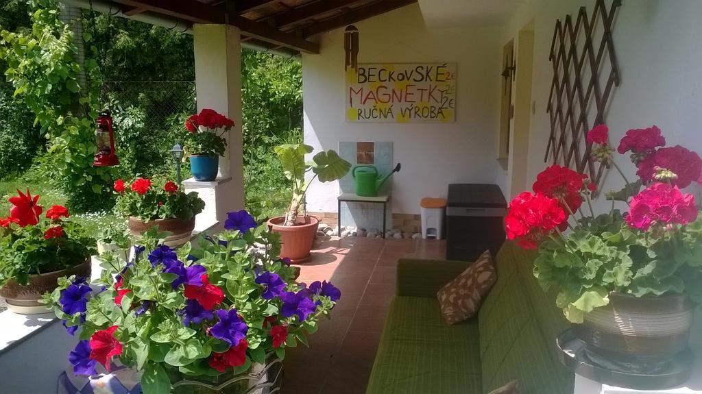 Platanus Bed & Breakfast Beckov Exterior photo